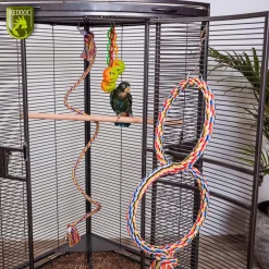 Keddoc Papegaaienkooi Ohio - Vogelverblijven - 91x64x168 cm Donkergrijs