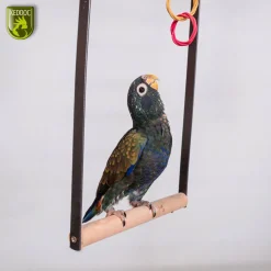 Keddoc Play Stand Iowa - Vogelverblijven - 92x54x142 cm Donkergrijs