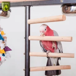 Keddoc Play Stand Iowa - Vogelverblijven - 92x54x142 cm Donkergrijs