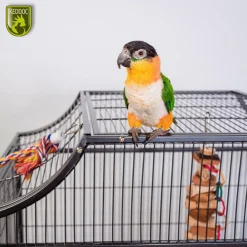 Keddoc Vogelkooi Florida - Vogelverblijven - 82x54x155 cm Donkergrijs