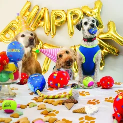 Kong Birthday Tennisballen - Hondenspeelgoed - Geel Groen Oranje Medium