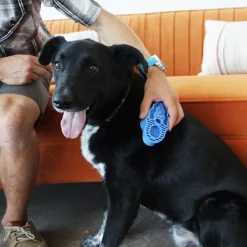 Kong Borstel Rubber Zoomgroom - Hondenvachtborstel - Blauw per stuk Large