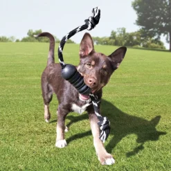 Kong Extreme Dental - Hondenspeelgoed - Zwart L