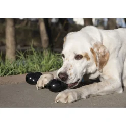 Kong Extreme Goodie Bone - Hondenspeelgoed - Zwart Large