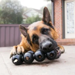 Kong Extreme Goodie Ribbon Zwart - Hondenspeelgoed