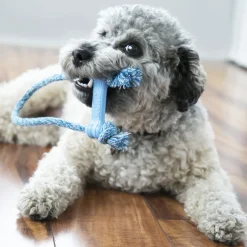 Kong Goodie Bone Met Touw Puppy - Hondenspeelgoed - 8 cm Assorti Xsmall