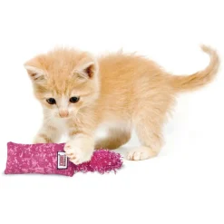 Kong Kickeroo Kitten Assorted - Kattenspeelgoed -