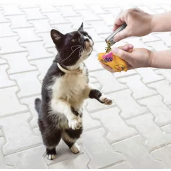 Kong Refillables Catnip Tubes 3-Pk - Kattenspeelgoed -