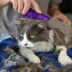 Kong Rubber Borstel Zoomgroom - Kattenvachtborstel - Paars per stuk