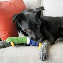 Kong Shakers Cuckoos - Hondenspeelgoed - 37 cm Medium