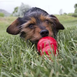 Kong Snacks Peanut Butter - Hondenspeelgoed - Pindakaas Ø5.72x19 cm 226 g