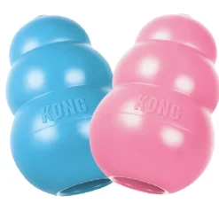 Kong Speeltje Puppy Assorti - Hondenspeelgoed