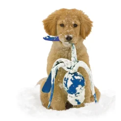 Kong Speeltje Wubba Assorti - Hondenspeelgoed