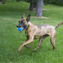 Kong Squeakair Ultra Balls - Hondenspeelgoed