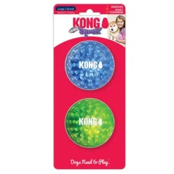Kong Squeezz Geodz - Hondenspeelgoed - 2 stuks Large
