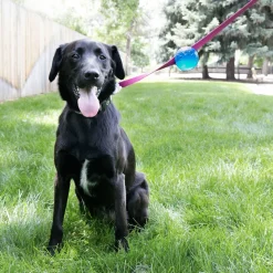 Kong Tagalong Ball Medium - Hondenspeelgoed - Medium