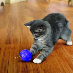 Kong Treat Dispensing Ball - Kattenspeelgoed -