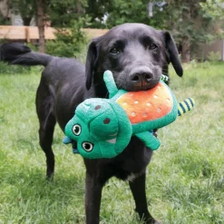 Kong Whoopz Gator - Hondenspeelgoed - Small