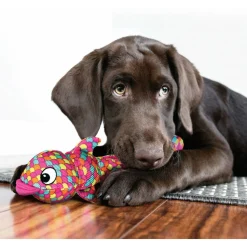 Kong Wubba Finz - Hondenspeelgoed