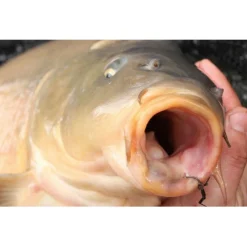 Korda Mixa Hook - Vishaak