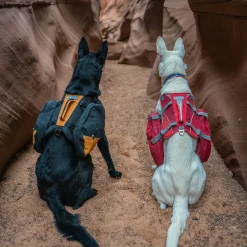 Kurgo Baxter Hondenrugzak - Hondendraagzak - Rood 13.5 Tot 38.5 Kg