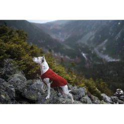 Kurgo Loft Jacket Rood&Antraciet - Hondenjas