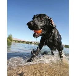 Kurgo Skipping Stones - Hondenspeelgoed - Groen Oranje Paars 3 stuks