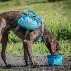 Kurgo Zippy Bowl - Opvouwbare Reisvoerbak - Hondenvoerbak