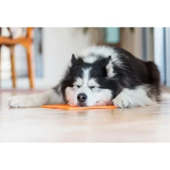 Lickimat Playdate Treat Slowfeeder Voermat - Hondenvoerbak - 20x20 cm Appelgroen