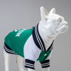 Lindo Hondenjas Boston - Hondenkleding - Groen 8