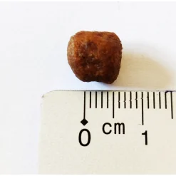 Lobo Puppy Complete - Hondenvoer - 15 kg