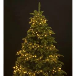 Lumineo 1-2 Glow Compact Lights - Decoratie - 240 cm Groen 880 led 8 Strengen