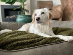 Maxxnobel Orthopedische Sofa Lederlook/Teddy Olijfgroen - Hondenbank