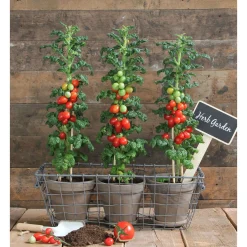 Mica Decorations Terracotta Pot Met Schotel Set Van 3 - Bloempotsets - 41x14x12 cm Grijs