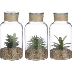 Mica Decorations Vetplant In Glazen Pot - Decoratie - Ø10x20 cm Groen 3 Assorti