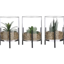 Mica Decorations Vetplant In Cylinder - Decoratie - Ø10.5x15 cm Groen 3 Assorti