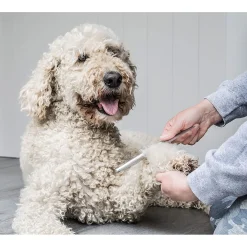 Mikki Doodle Grooming Kit - Hondenvachtborstel - Blauw Grijs