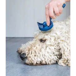 Mikki Doodle Grooming Kit - Hondenvachtborstel - Blauw Grijs