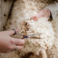 Mikki Poot En Gezicht Schaar - Hondenvachtschaar - 5.5 inch