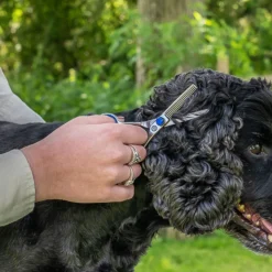 Mikki Poot En Gezicht Schaar - Hondenvachtschaar - 5 inch