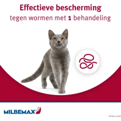 Milbemax Milbemax Kat - Anti wormenmiddel