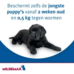 Milbemax Milbemax Kauwtablet Kleine Hond - Anti wormenmiddel - 12 g 4 tab 1 Tot 5 Kg