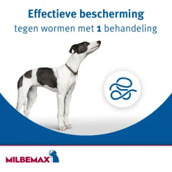 Milbemax Milbemax Kauwtablet Hond Vanaf 5kg - Anti wormenmiddel - 28 g 4 stuks Vanaf 5 Kg