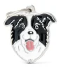 My Family Border Collie - ID Tag -