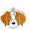 My Family Brittany - ID Tag -