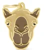 My Family Camel - ID Tag -