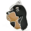 My Family Gordon Setter - ID Tag -