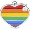 My Family Heart Rainbow - ID Tag - L