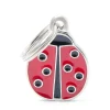 My Family Ladybug - ID Tag -