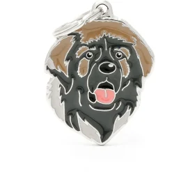 My Family Leonberger - ID Tag -